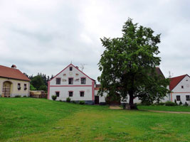 Holasovice